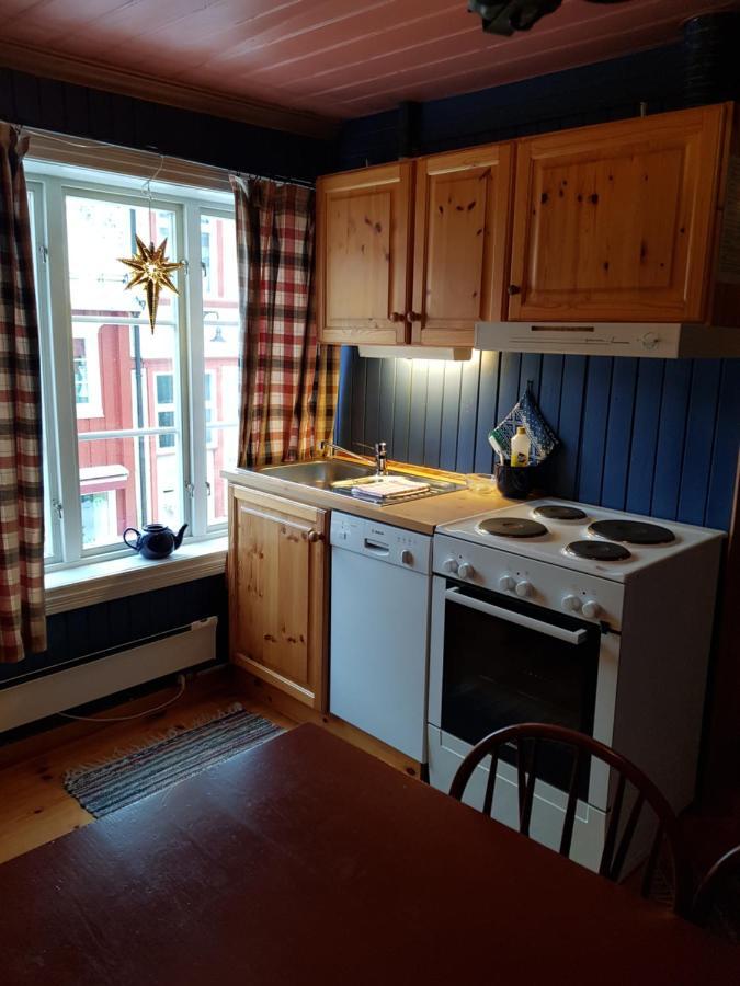 Houmbgaarden Apartman Røros Kültér fotó