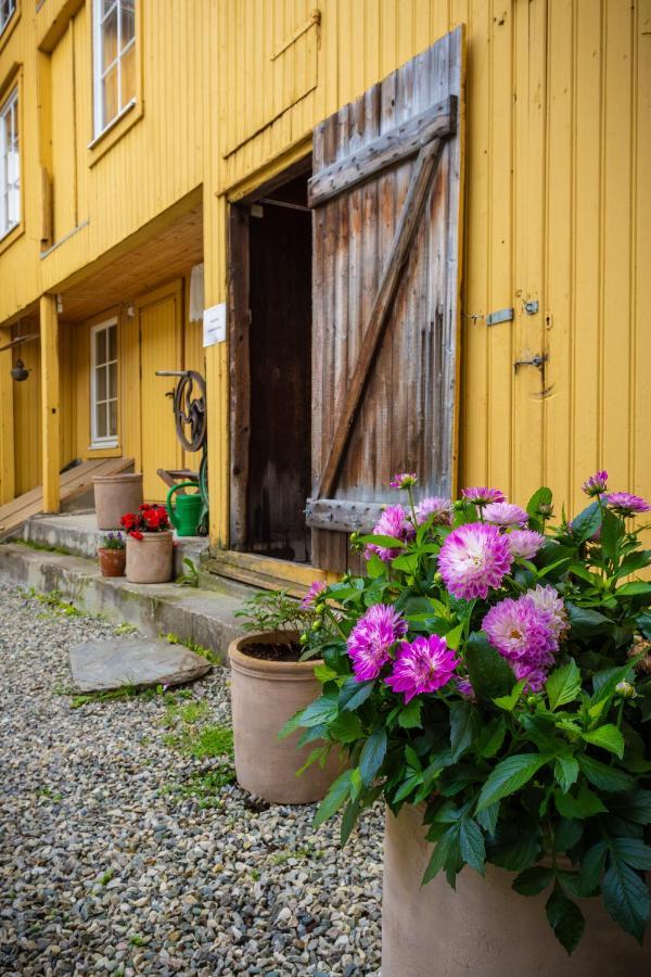 Houmbgaarden Apartman Røros Kültér fotó